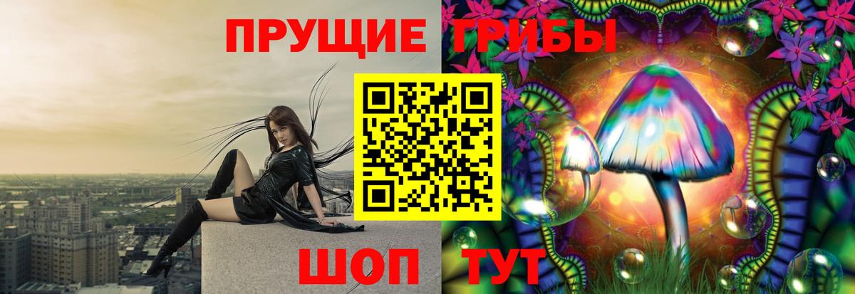 Галлюциногенные грибы Psilocybine cubensis  Вход с VPN  Астрахань  Галлюциногенные грибы MAGIC MUSHROOMS 